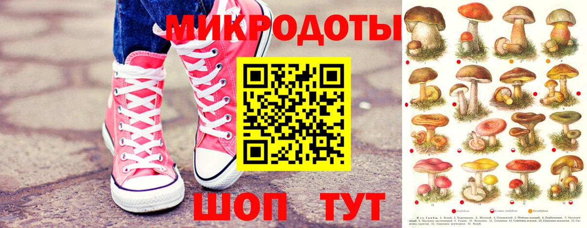 Шебекино  Галлюциногенные грибы прущие грибы  цена   Галлюциногенные грибы ЛСД  Вход с VPN 